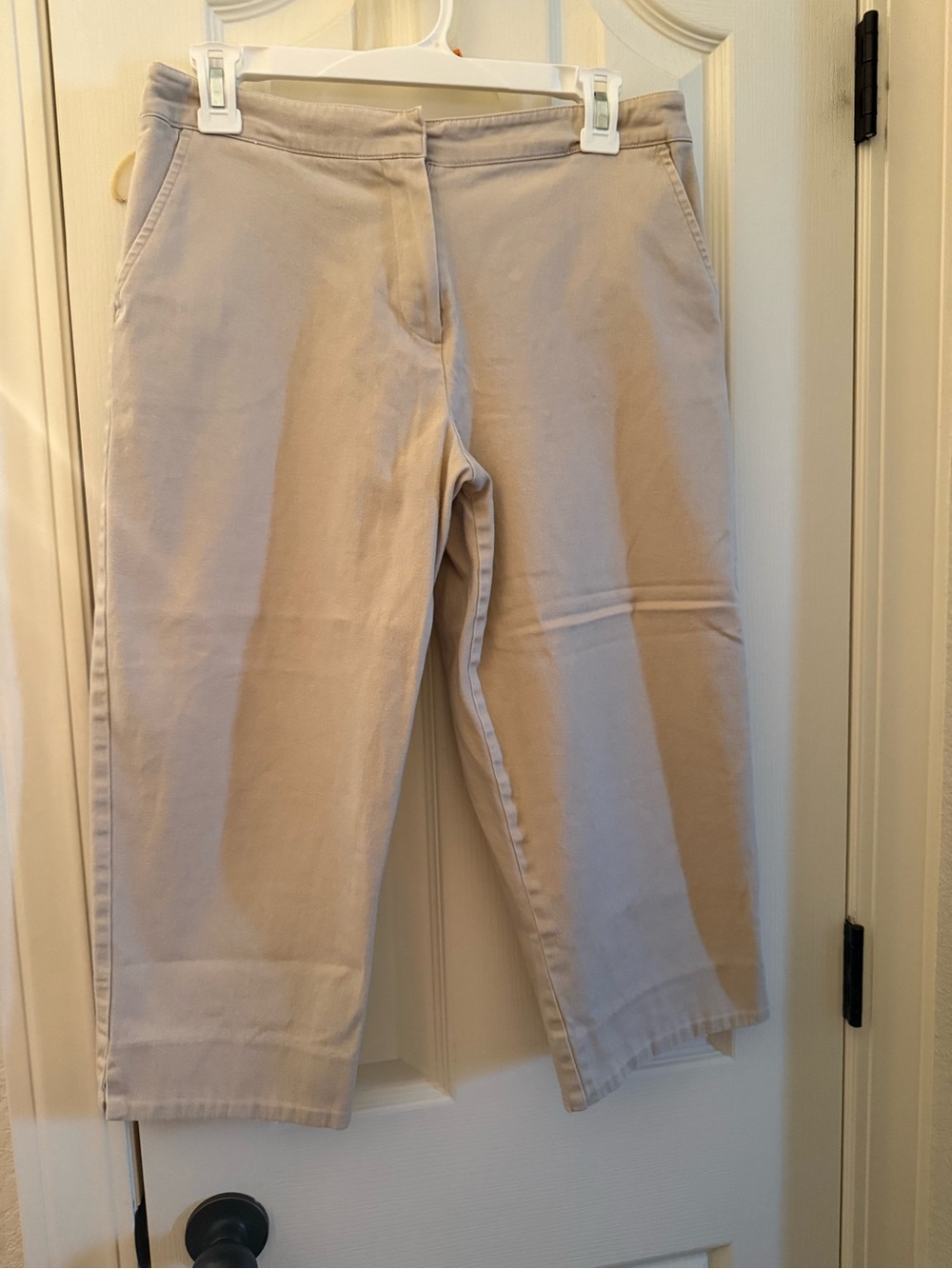 Briggs New York Light Beige Women's Pants